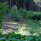 20112308130806-502.jpg